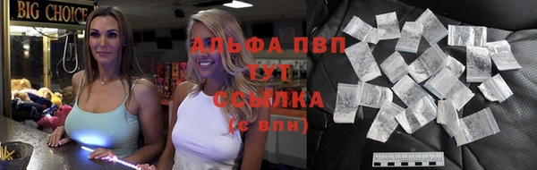 прущие крисы Кедровый