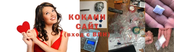 прущие крисы Кедровый