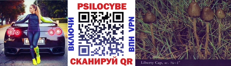 Псилоцибиновые грибы Psilocybe  кракен онион  Чусовой 