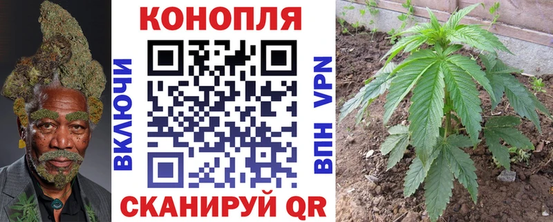 Конопля OG Kush Чусовой
